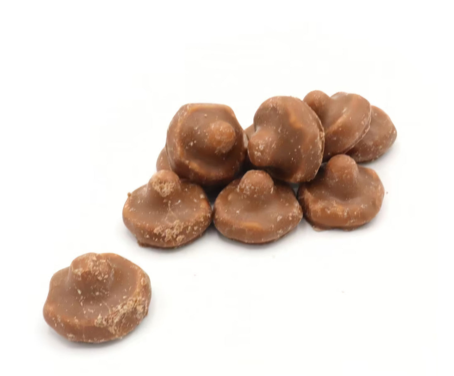 Chocolate Covered Foam Mushrooms