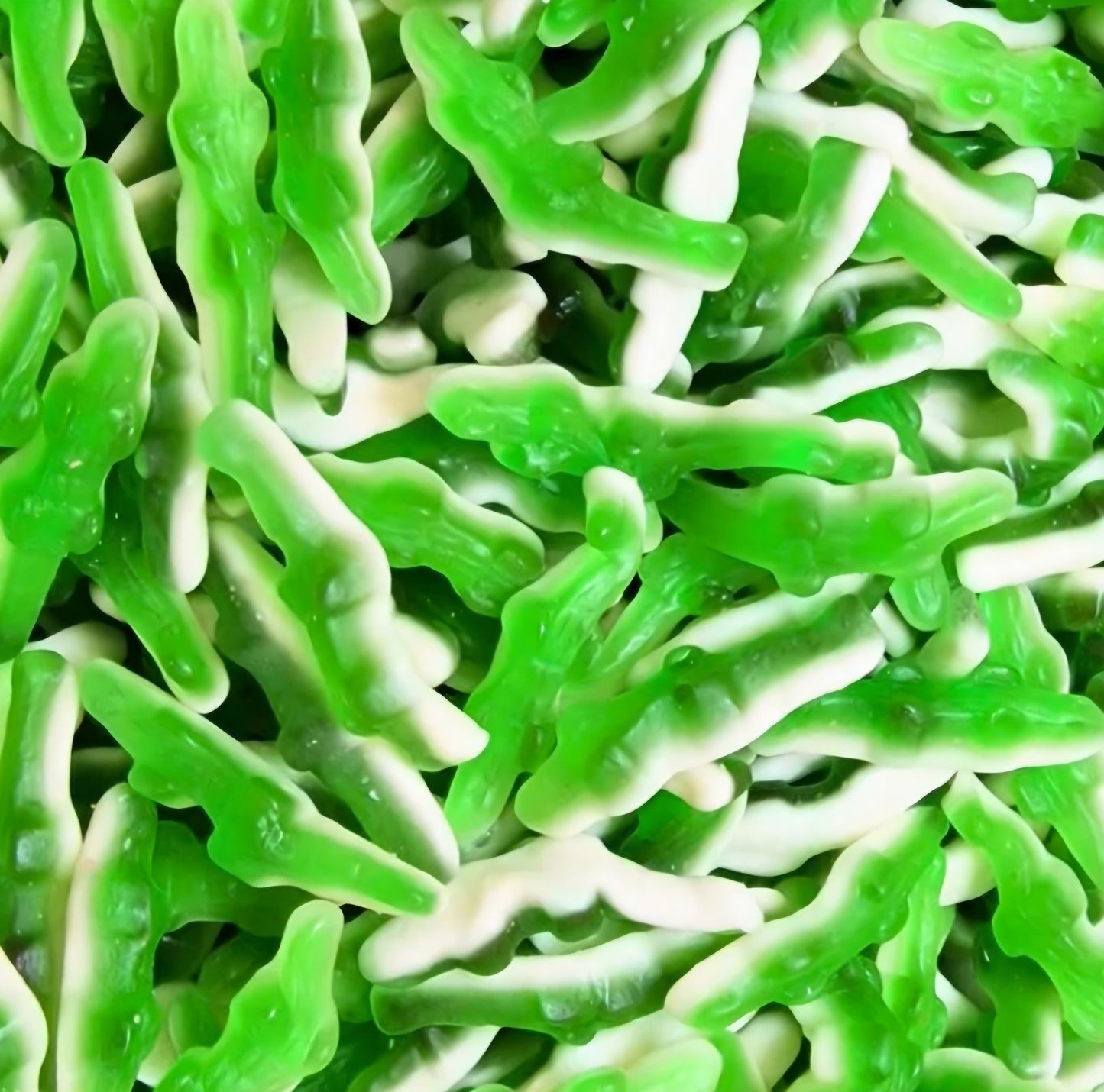Green Crocodiles