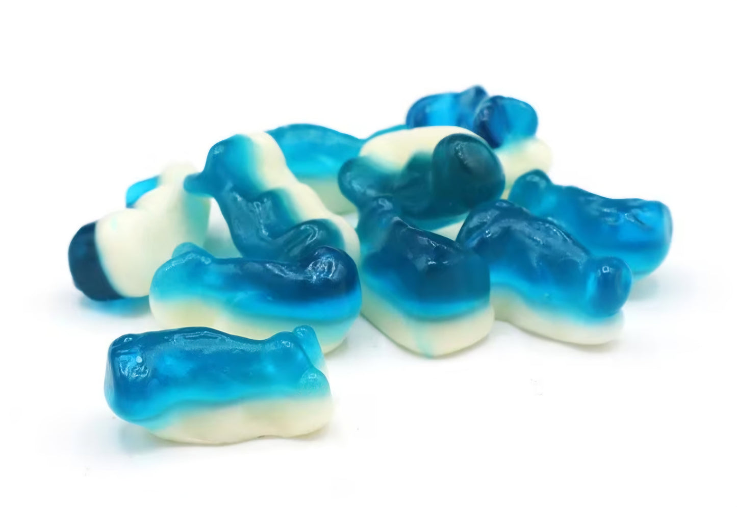 Mini Dolphins