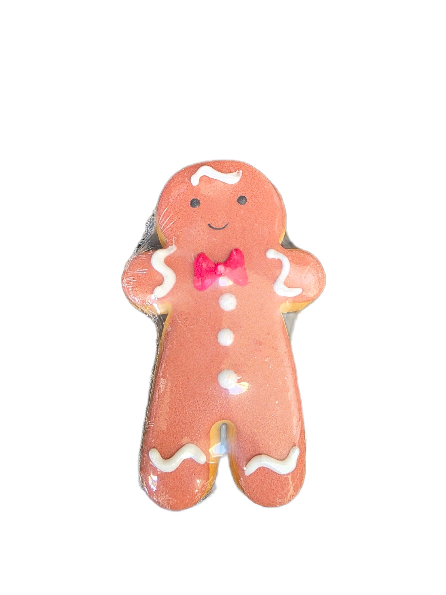 Christmas Treat Bag             (bag design WILL vary)