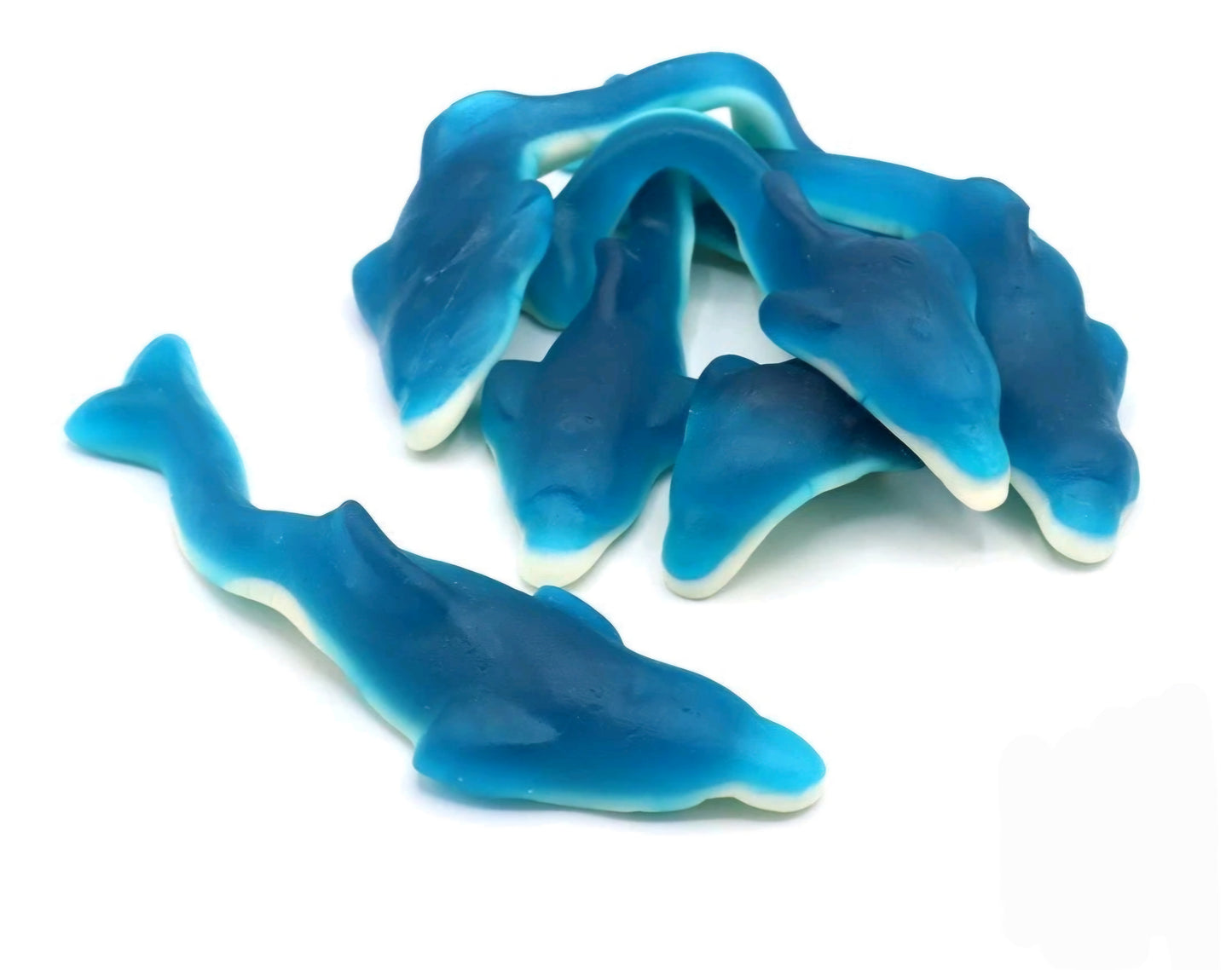 Giant Dolphins